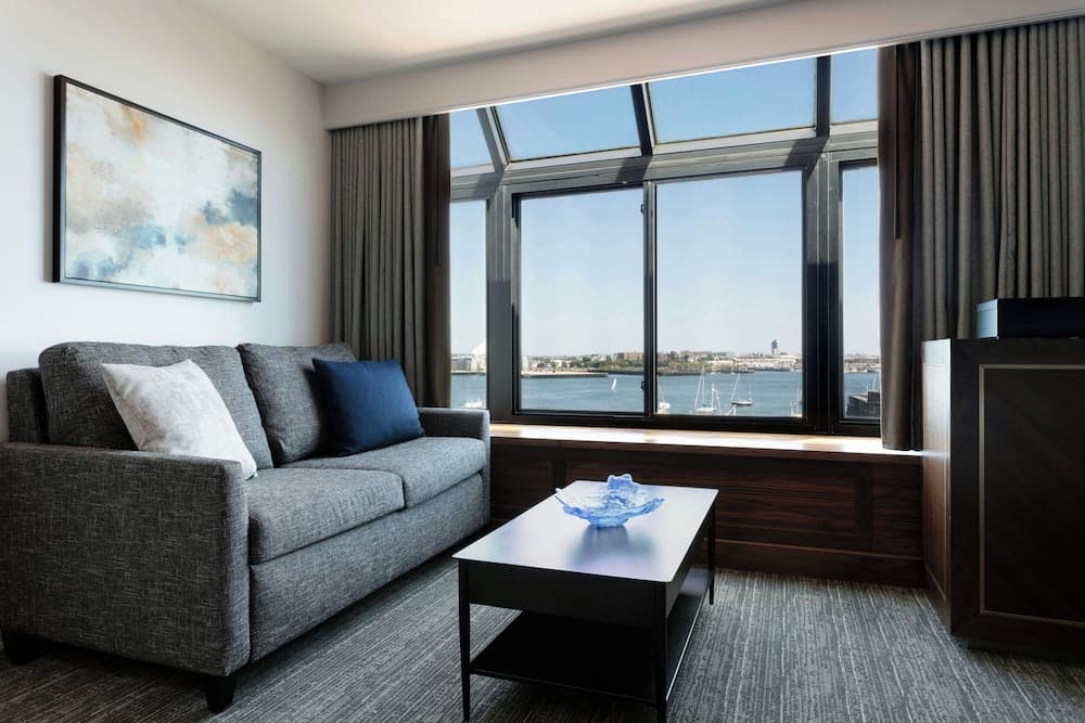 Panoramic Studio Suite, 1 King Bed (Mobility/Hearing Access, Roll-in Shwr)
