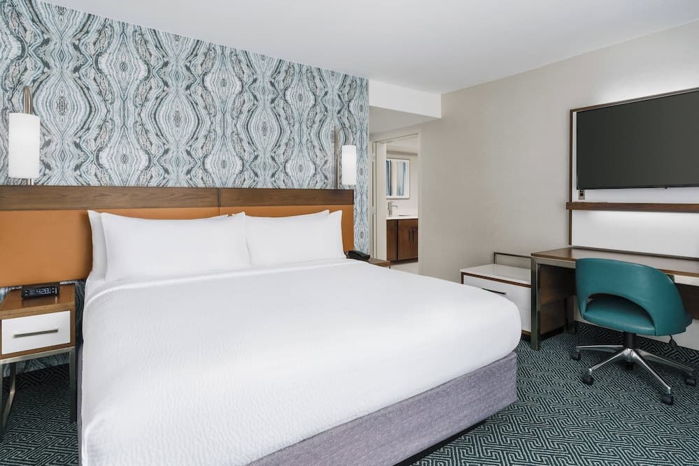 Suite, 1 King Bed with Sofa bed
