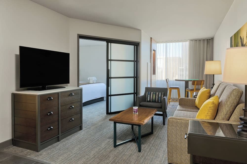 Suite, 1 King Bed with Sofa bed
