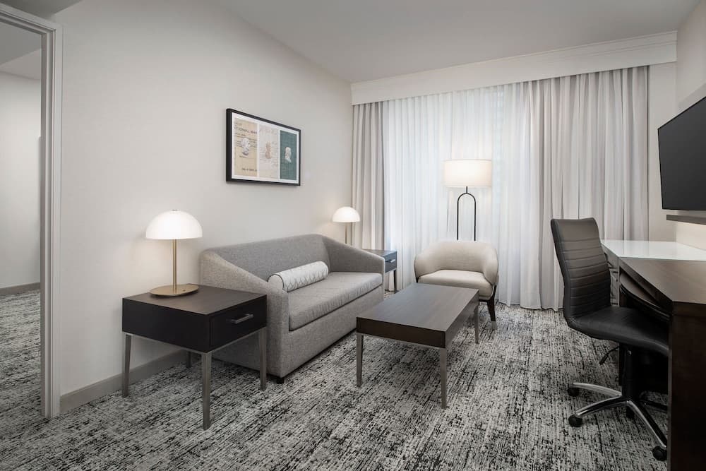 Suite, 1 King Bed with Sofa bed