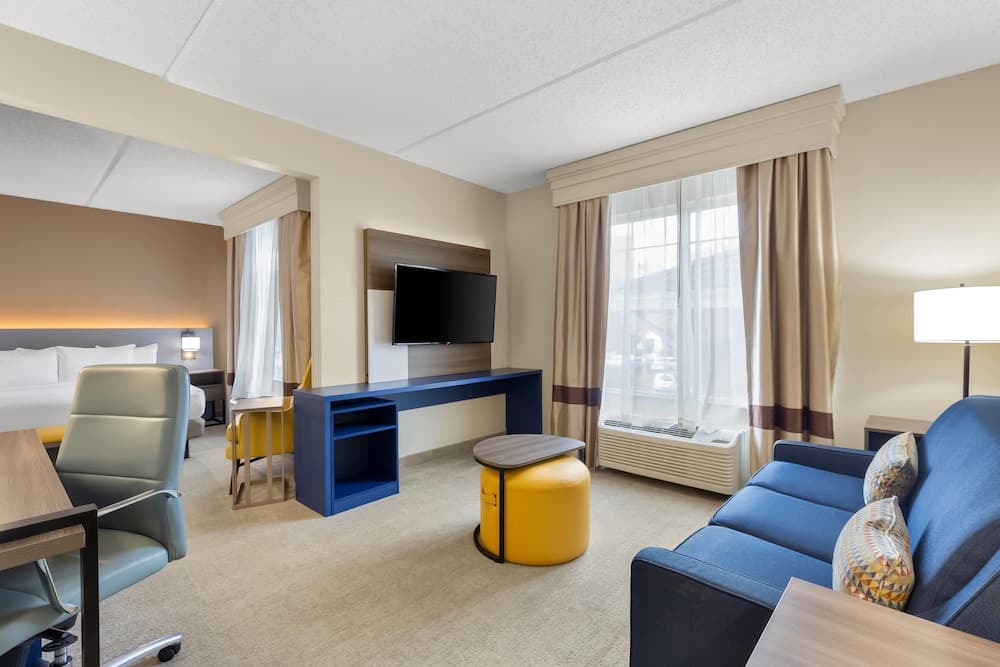 Room, Non Smoking (1 King, Accessible + 2 person sofabed)