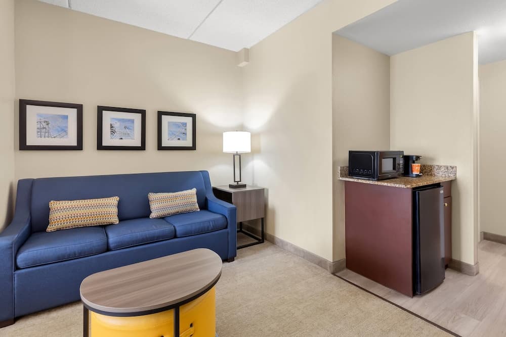 Suite, Non Smoking (1 King, 2 person sofabed)