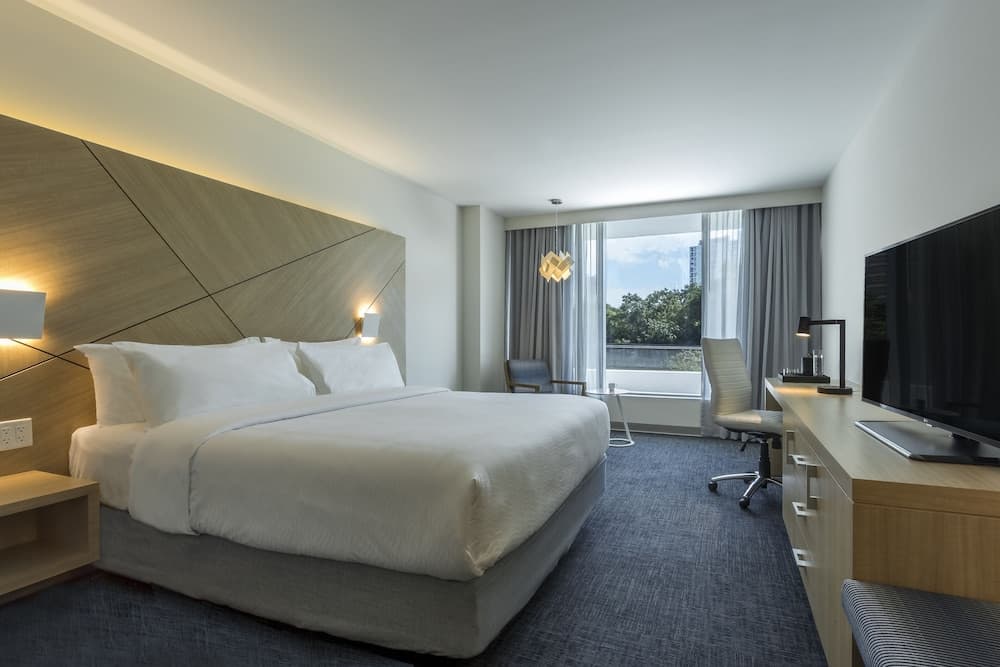 Superior Room, 1 King Bed, Accessible, Park View