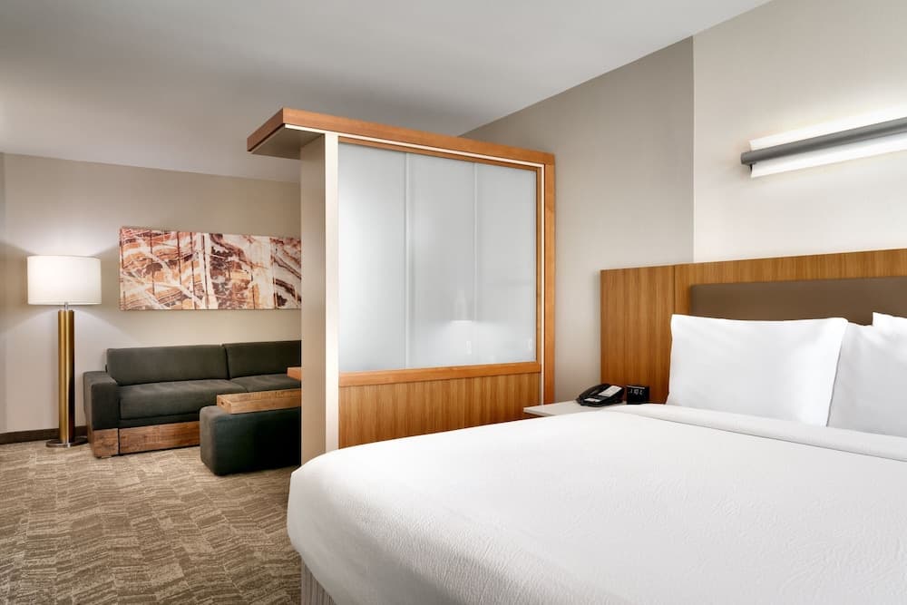 Suite, 1 King Bed (Hearing Accessible)