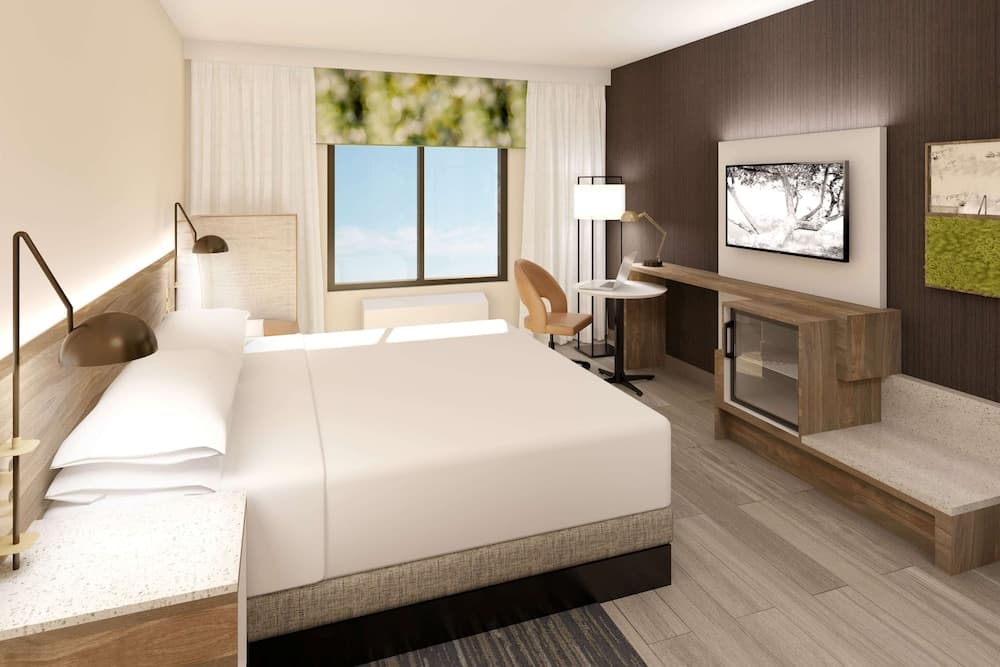 Room, 1 King Bed, Non Smoking