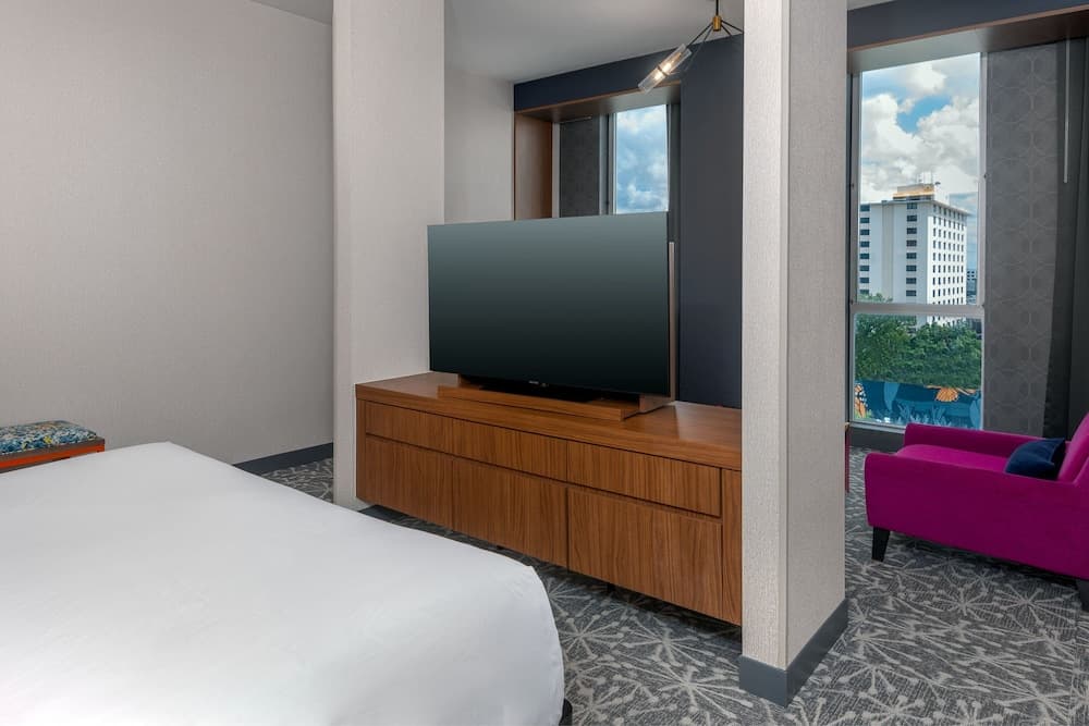 Suite, 1 King Bed
